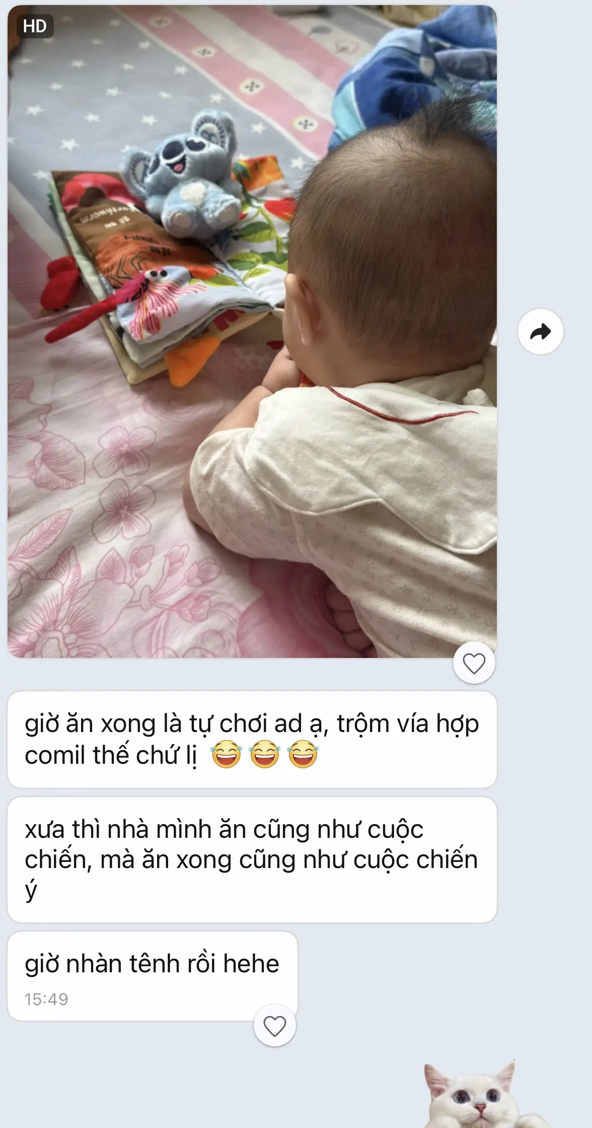 Comil Feedback